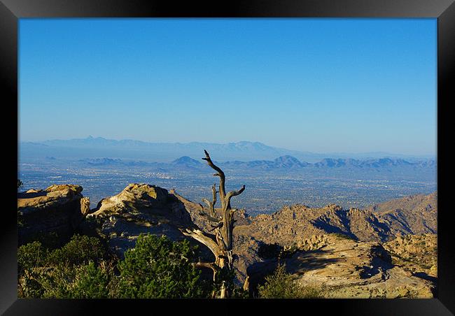 View from Mount Lemmon high above Tucson Framed Print by Claudio Del Luongo