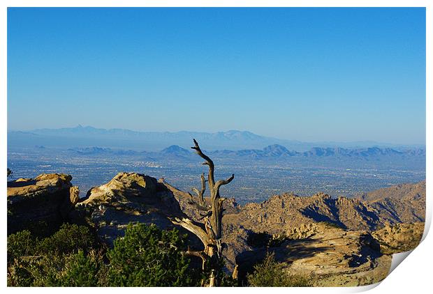 View from Mount Lemmon high above Tucson Print by Claudio Del Luongo