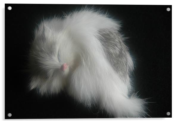 Cat Nap  Acrylic by Robert Gillespie
