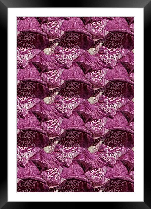 Foxglove Pattern Framed Mounted Print by Julie Coe