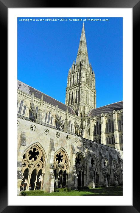 SALISBURY CATHEDRAL SPIRE AND CLOISTER Framed Mounted Print by austin APPLEBY