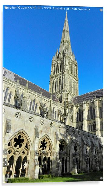 SALISBURY CATHEDRAL SPIRE AND CLOISTER Acrylic by austin APPLEBY