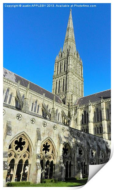 SALISBURY CATHEDRAL SPIRE AND CLOISTER Print by austin APPLEBY
