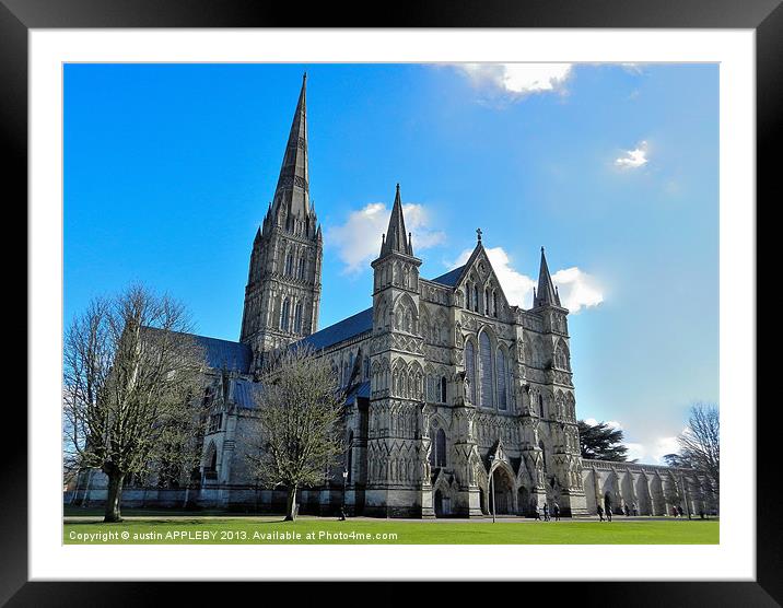 SALISBURY CATHEDRAL Framed Mounted Print by austin APPLEBY