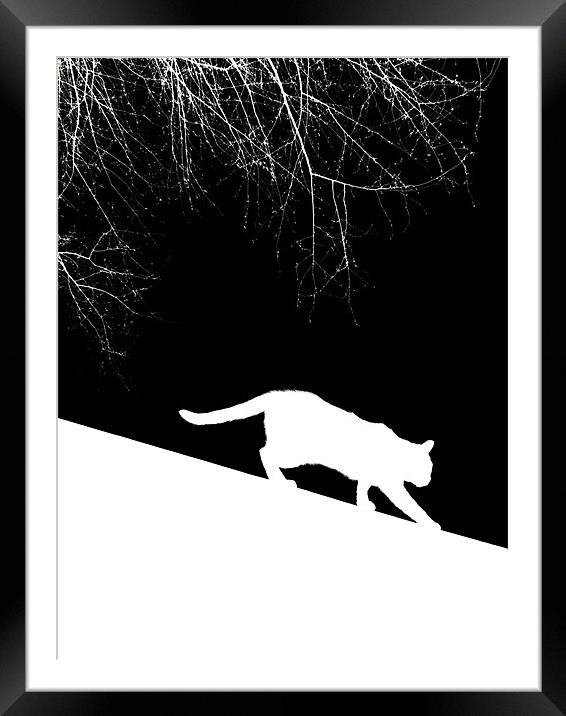 snow cat Framed Mounted Print by Heather Newton