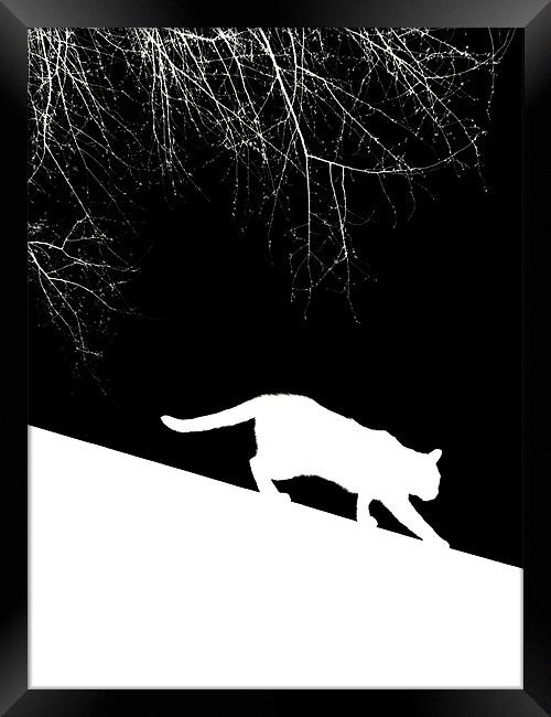 snow cat Framed Print by Heather Newton
