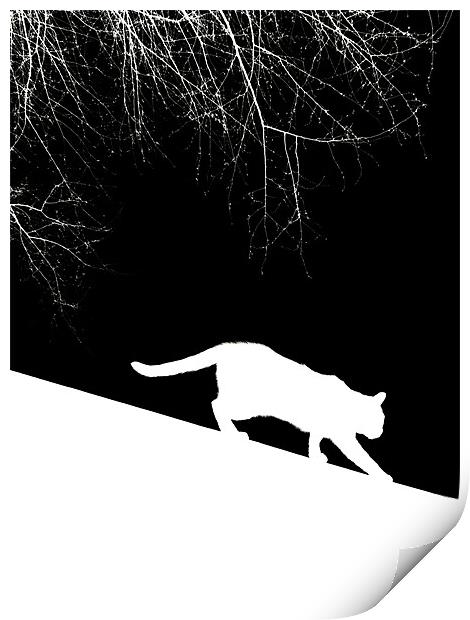 snow cat Print by Heather Newton