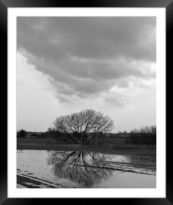 Tree Reflection Under Black Cloud Framed Mounted Print by Andrew Watson