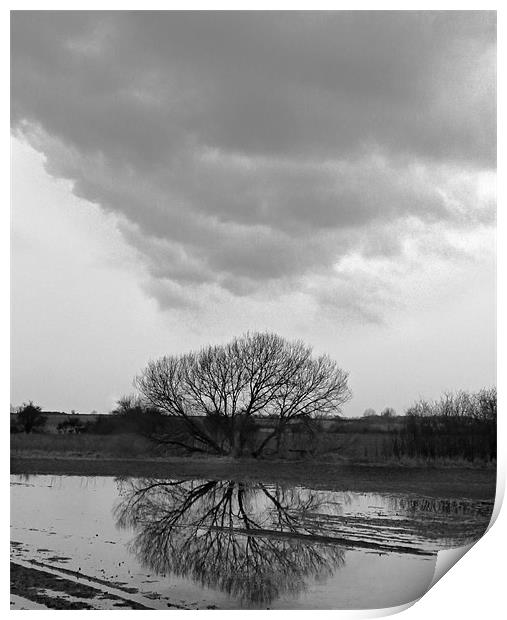 Tree Reflection Under Black Cloud Print by Andrew Watson
