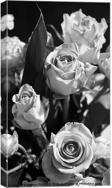 Black and white bouquet Canvas Print by Marilyn PARKER