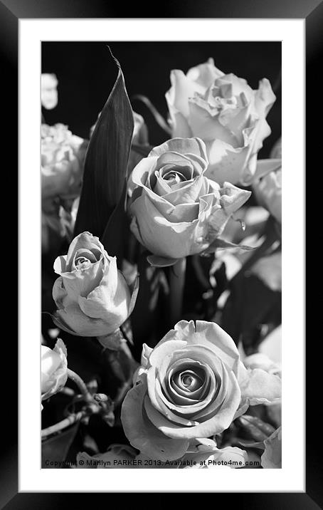 Black and white bouquet Framed Mounted Print by Marilyn PARKER