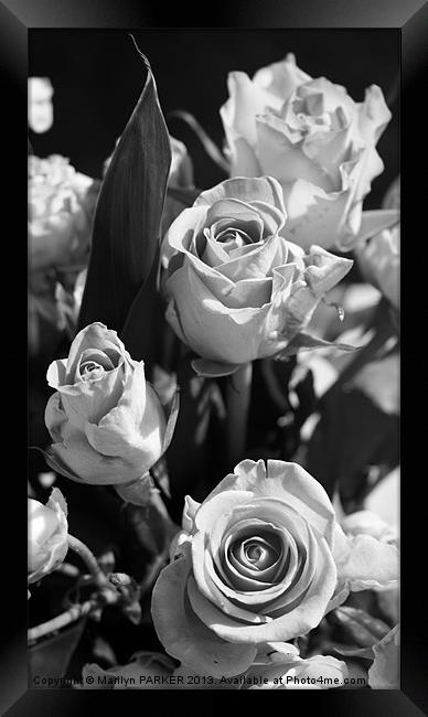 Black and white bouquet Framed Print by Marilyn PARKER