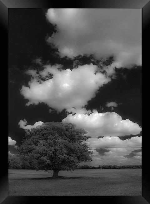 Cloud Busting Framed Print by Darren Burroughs