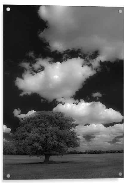Cloud Busting Acrylic by Darren Burroughs