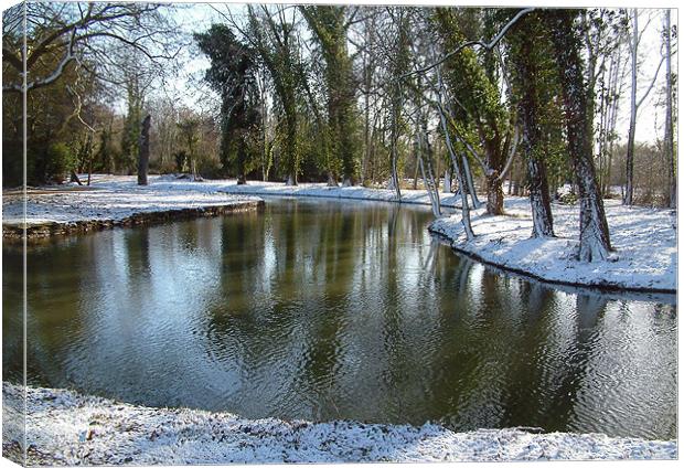 The Cherwell in winter. Canvas Print by mike lester