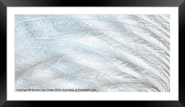 Pure feather Framed Mounted Print by Sharon Lisa Clarke