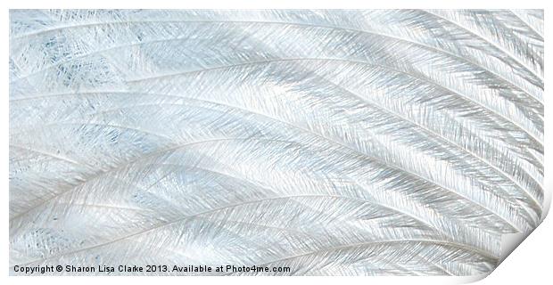 Pure feather Print by Sharon Lisa Clarke