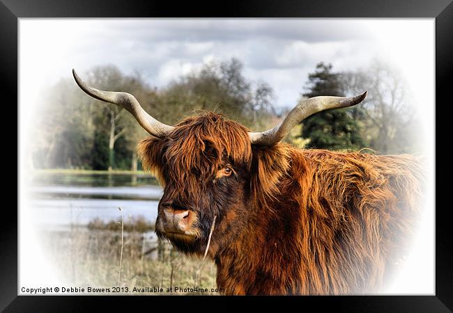 Highland Cow Framed Print by Lady Debra Bowers L.R.P.S