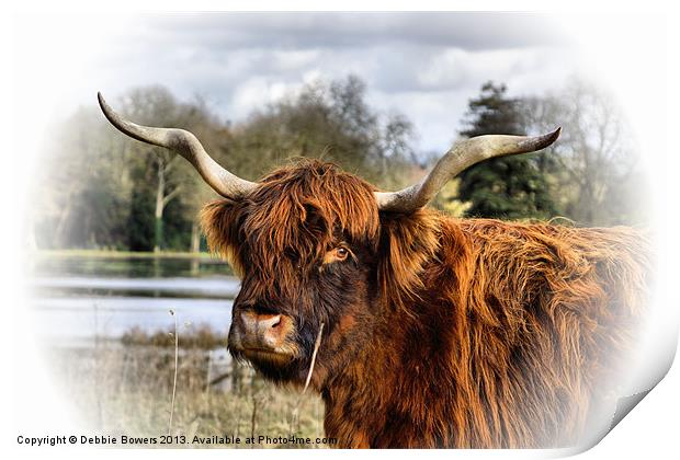 Highland Cow Print by Lady Debra Bowers L.R.P.S