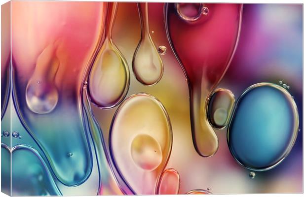 Drips of Colour Canvas Print by Sharon Johnstone
