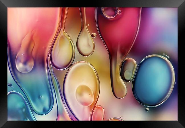 Drips of Colour Framed Print by Sharon Johnstone