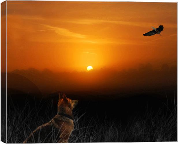 Dog in the field Canvas Print by Matthew Laming