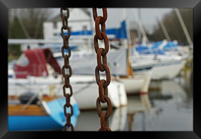 chains and boats Framed Print by jane dickie