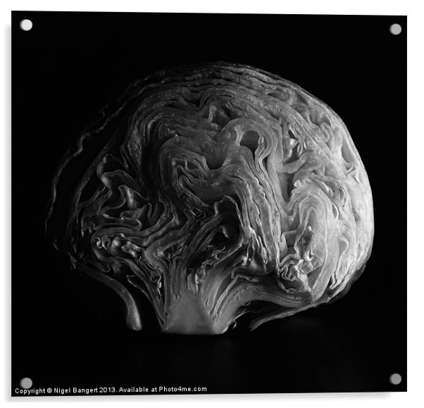 Brain Salad Acrylic by Nigel Bangert