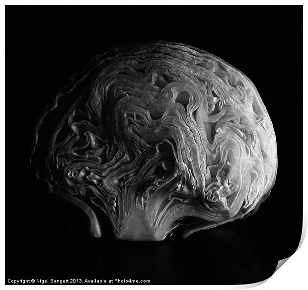 Brain Salad Print by Nigel Bangert