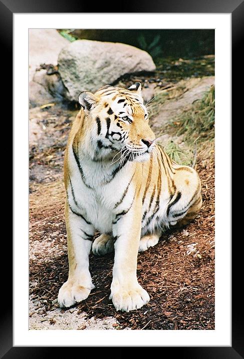 Deep in Thought cropped  Framed Mounted Print by Craig Law