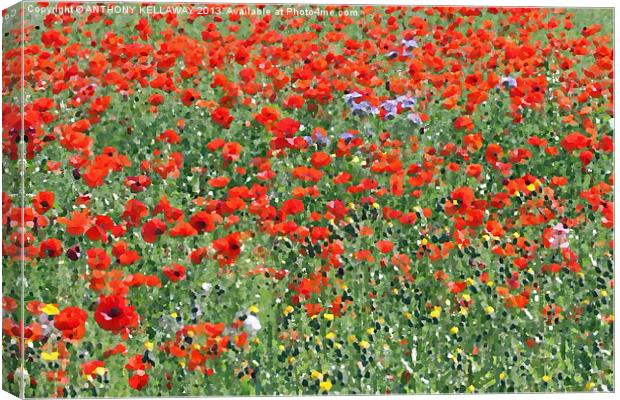 POPPY FIELDS OIL PICTURE Canvas Print by Anthony Kellaway