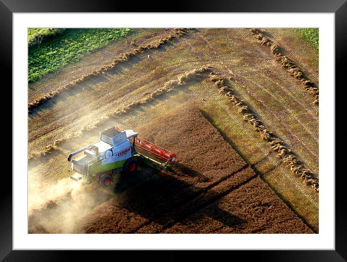 Harvesting Framed Mounted Print by Mark Llewellyn