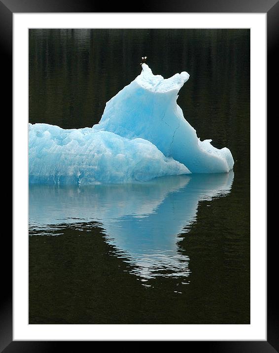 Iceberg with Eagles Framed Mounted Print by Mark Llewellyn