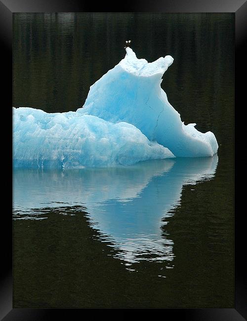 Iceberg with Eagles Framed Print by Mark Llewellyn