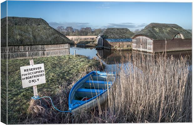 Hickling Broad Canvas Print by Stephen Mole