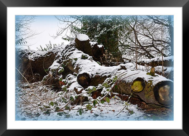 snowlogs Framed Mounted Print by sue davies