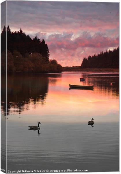 Sunset over the lake Canvas Print by Alexia Miles