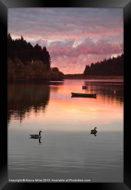 Sunset over the lake Framed Print by Alexia Miles