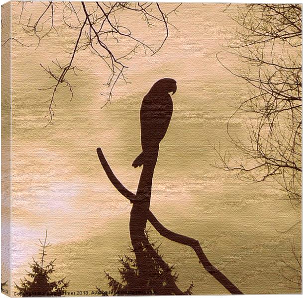 Silhouette of a parrot! Canvas Print by Paula Palmer canvas