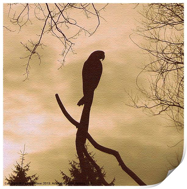 Silhouette of a parrot! Print by Paula Palmer canvas