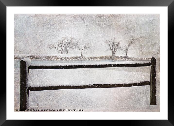 Days of Winter Framed Mounted Print by Betty LaRue
