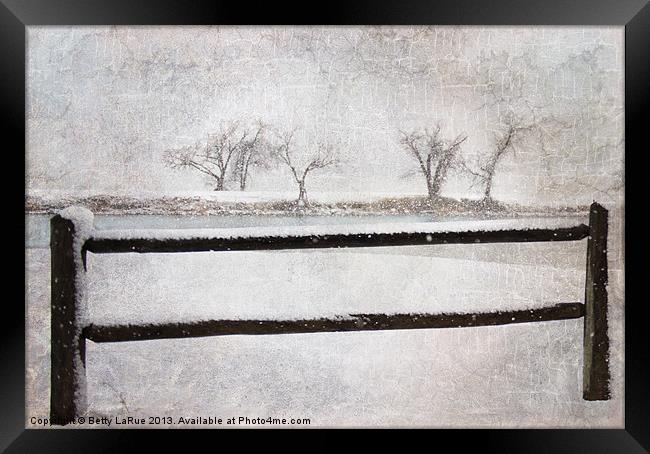 Days of Winter Framed Print by Betty LaRue