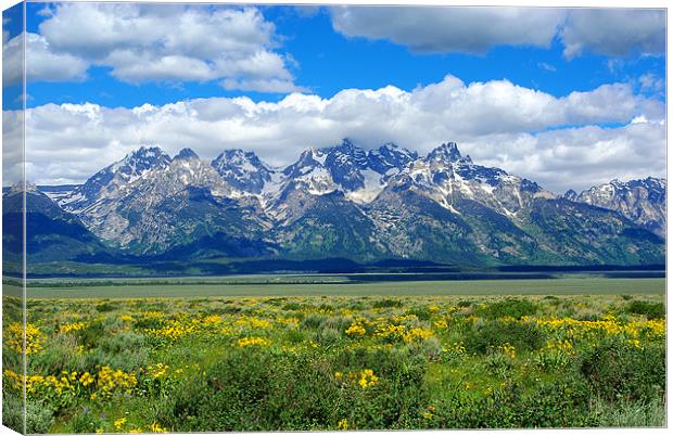 Mighty Grand Tetons, Wyoming Canvas Print by Claudio Del Luongo