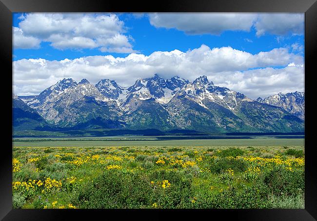 Mighty Grand Tetons, Wyoming Framed Print by Claudio Del Luongo