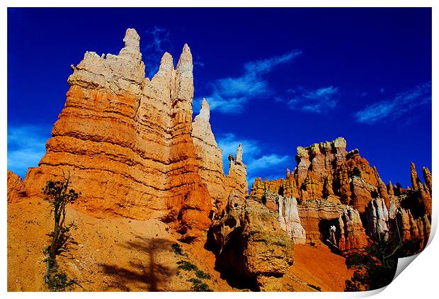 Beautiful rock towers, Bryce Print by Claudio Del Luongo