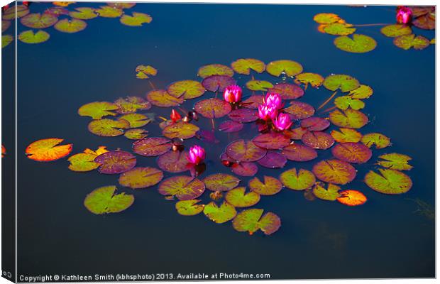 Water lilies Canvas Print by Kathleen Smith (kbhsphoto)
