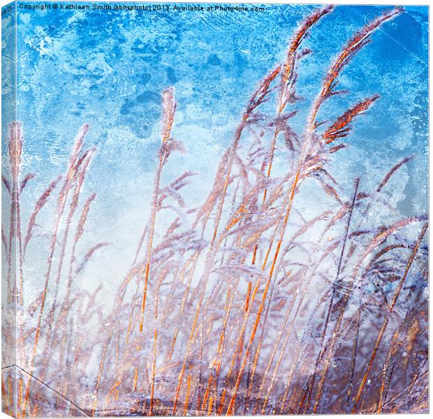 Reeds with hoar frost Canvas Print by Kathleen Smith (kbhsphoto)