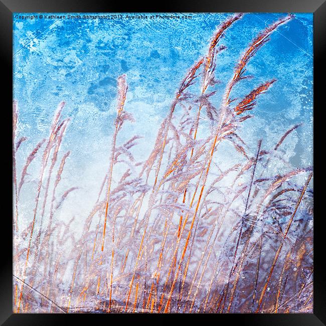 Reeds with hoar frost Framed Print by Kathleen Smith (kbhsphoto)