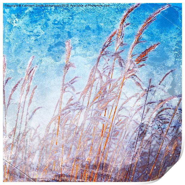 Reeds with hoar frost Print by Kathleen Smith (kbhsphoto)