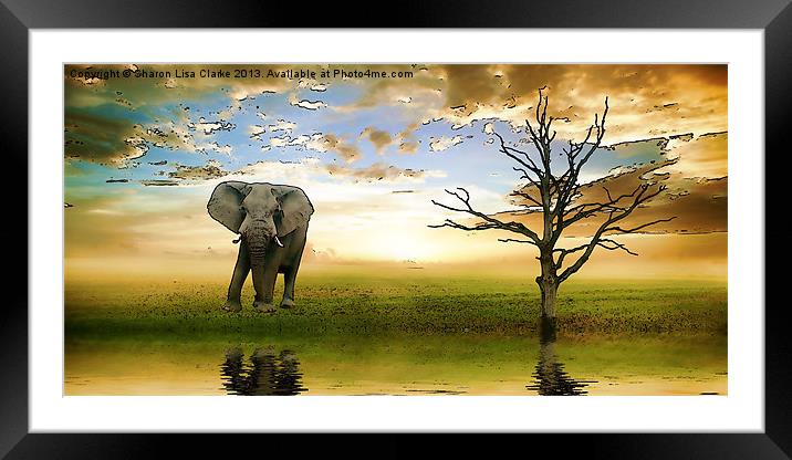 Run to Water Framed Mounted Print by Sharon Lisa Clarke